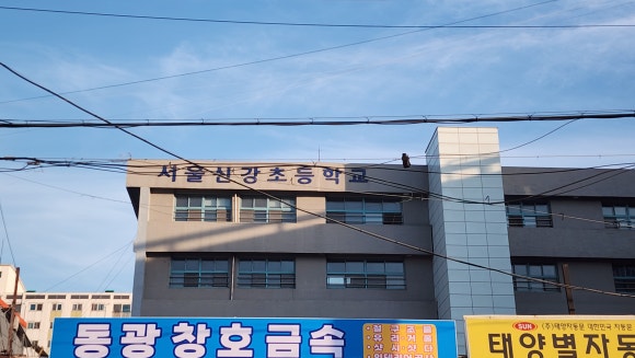 서울신강초등학교 이미지