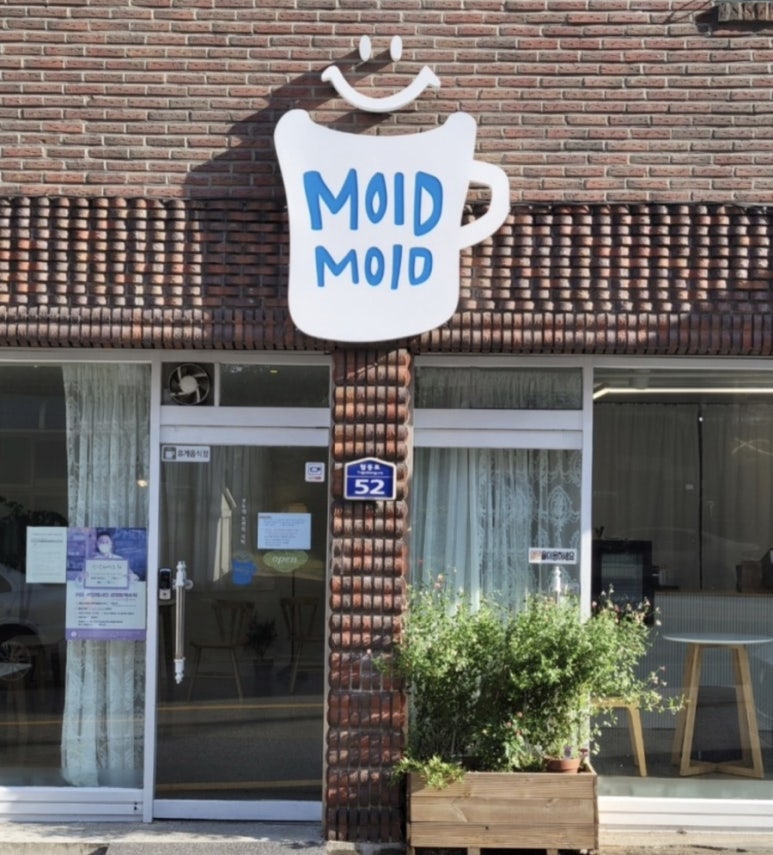 모이드모이드 이미지