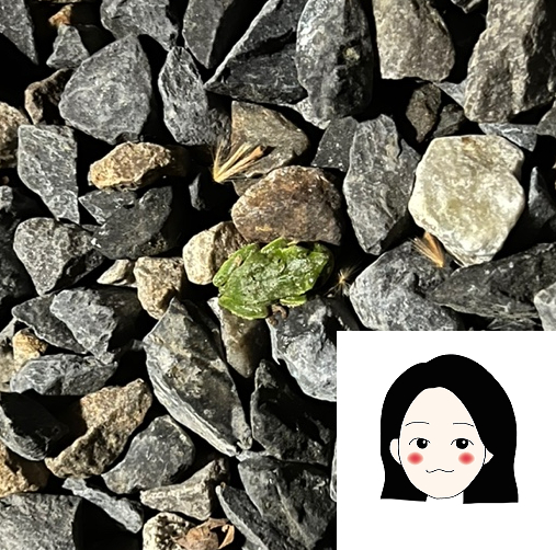 고기백화점복대점 이미지