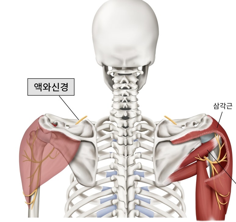 반석한의원 이미지