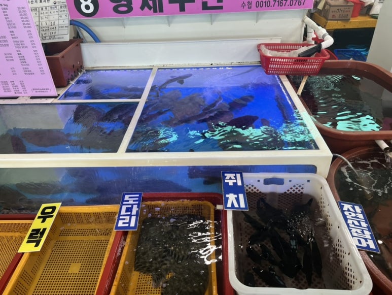 경주활어센타 이미지