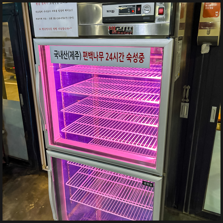 해변의돼지 이미지