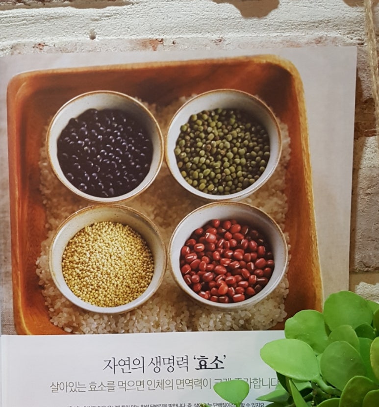 이든네이처 시흥장현지사 이미지