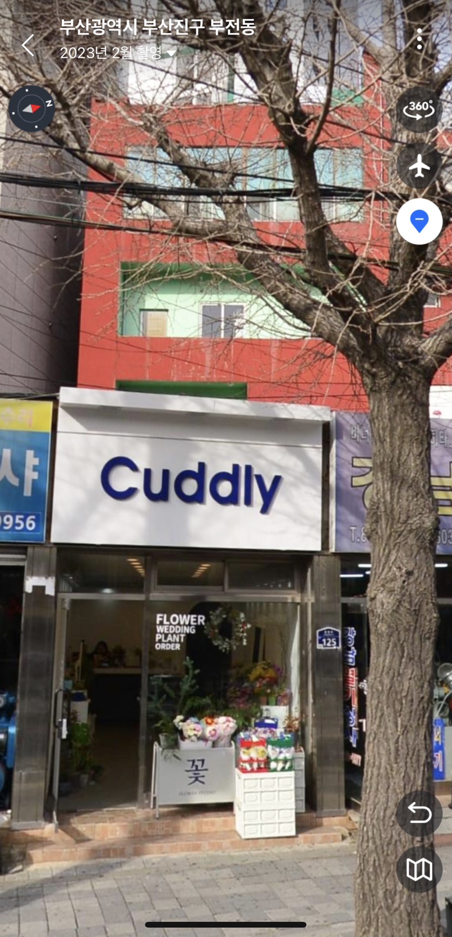 커들리플라워 이미지