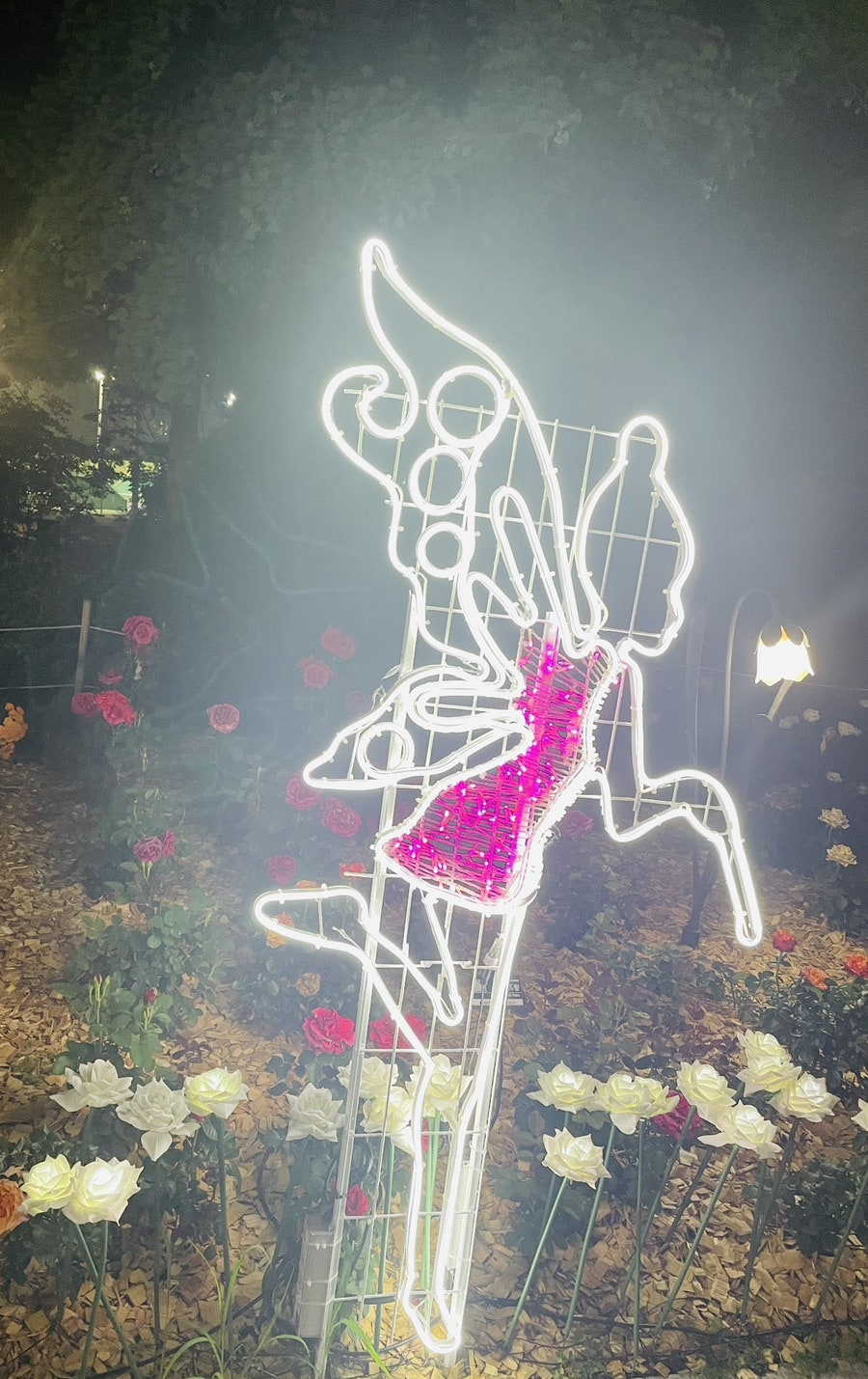 신난다노래광장 이미지