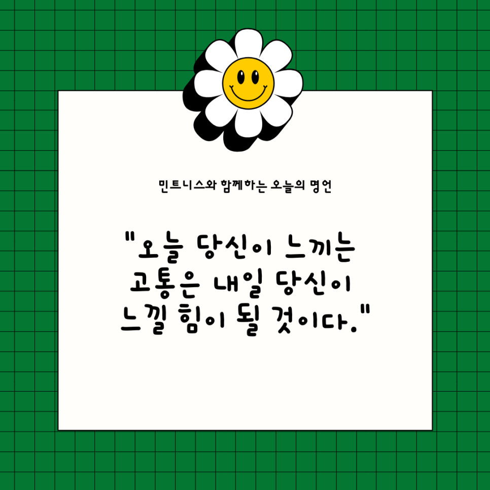 민트니스 이미지