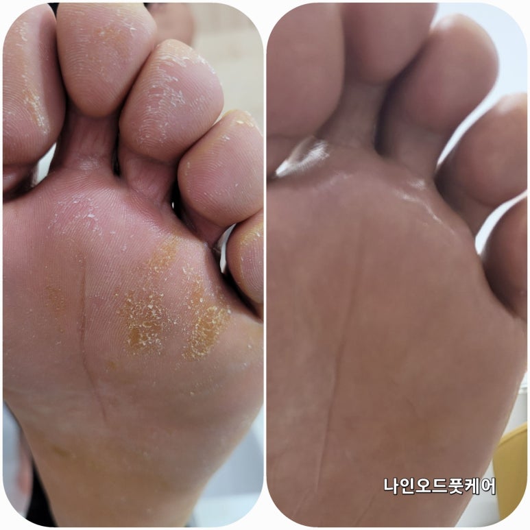 나인샵 이미지