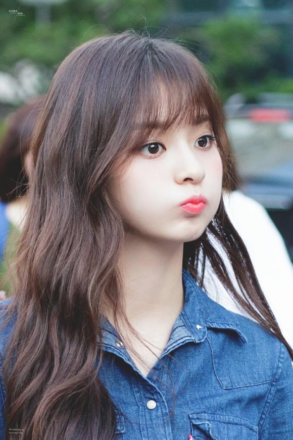 나경 이미지