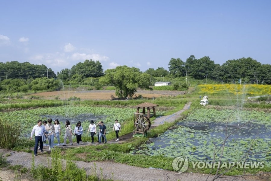 효도상사 이미지