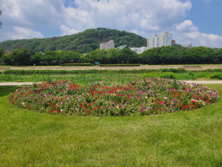 신천대로사람들 이미지