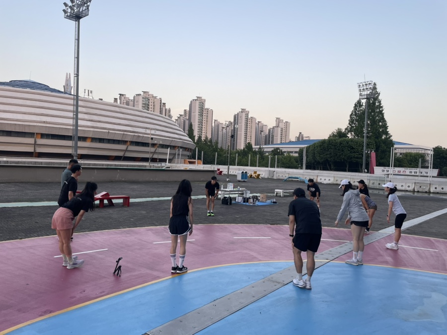 파틀렉 이미지