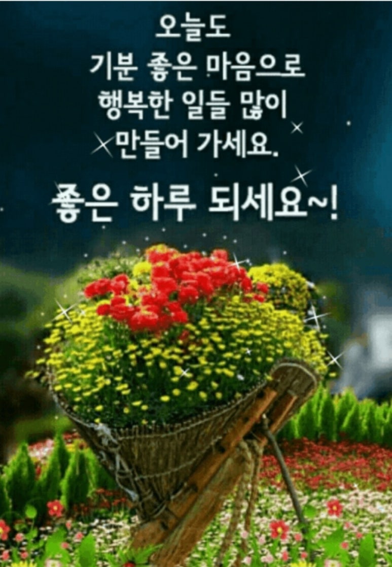 꽃의나라 이미지