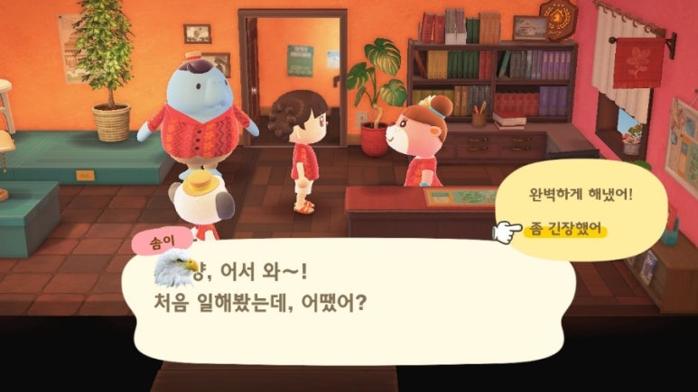 파라다이스힐링 이미지