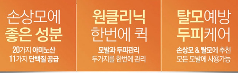 애니시스 이미지