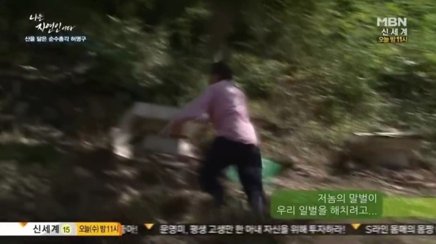 토마토여행사주 이미지