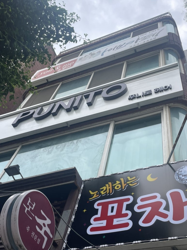 푸니토 이미지