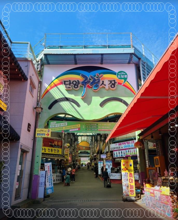 단양마늘 와송만두 이미지