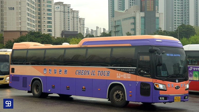 천일관광 이미지