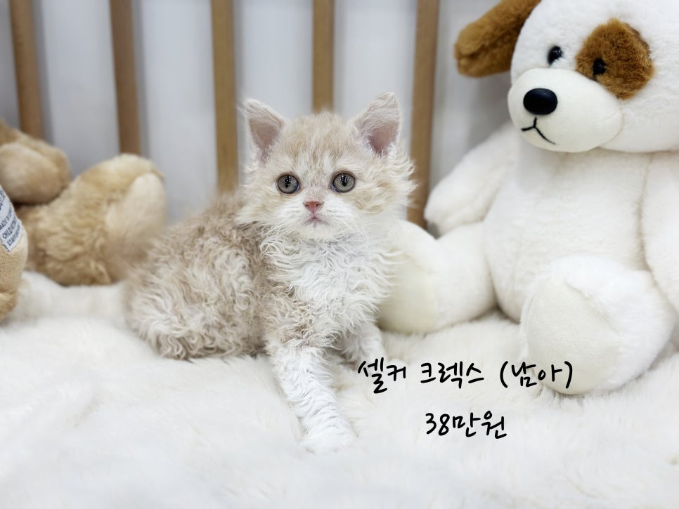 잠실마대 이미지