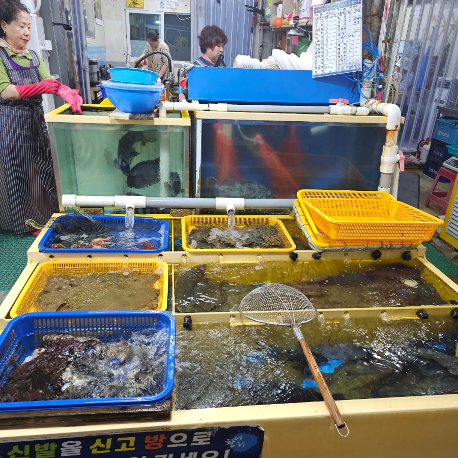 미란이식당 이미지