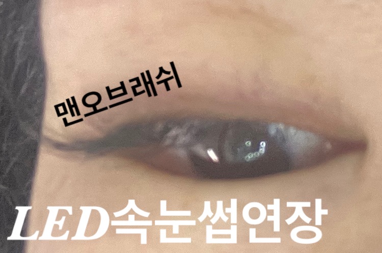 맨오브래쉬 이미지