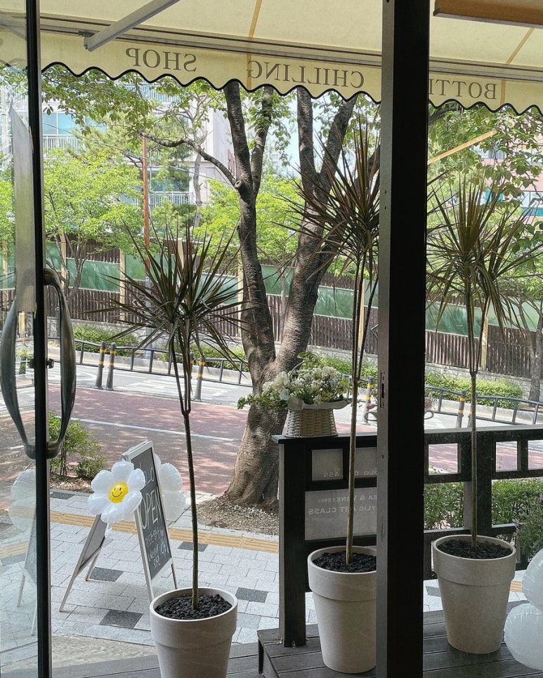 이응(Eolo) 이미지