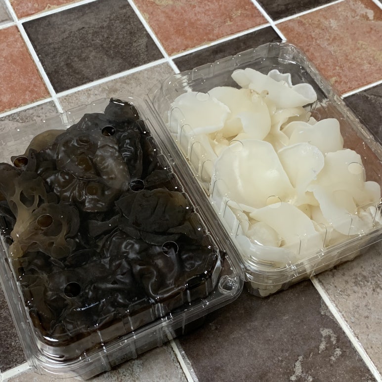 머쉬앤 이미지