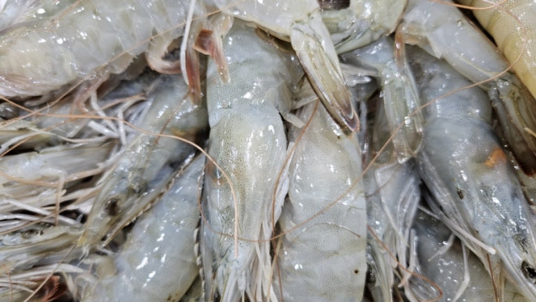 원일수산 이미지
