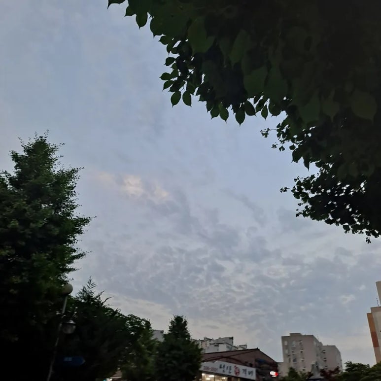 하이오커피파주 이미지