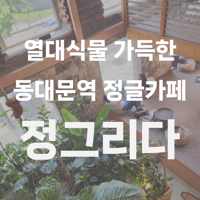 식물정 이미지