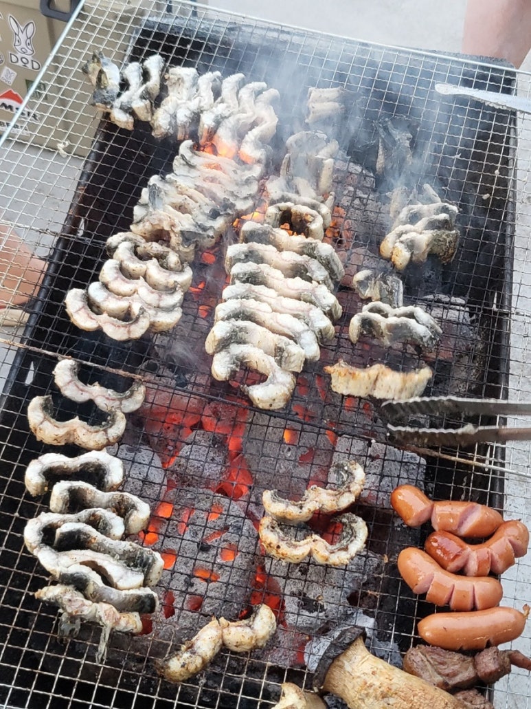 풍천민물장어도소매 이미지