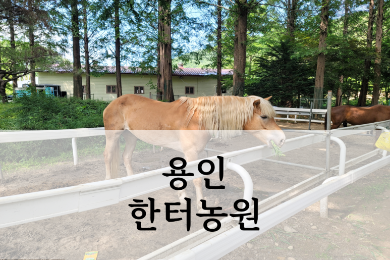 한터농원 이미지