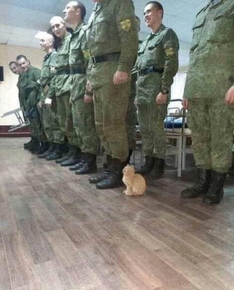 똥깡아지 이미지