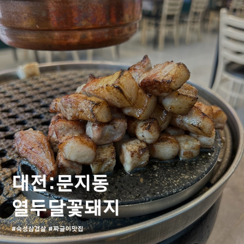 열두달꽃돼지 이미지