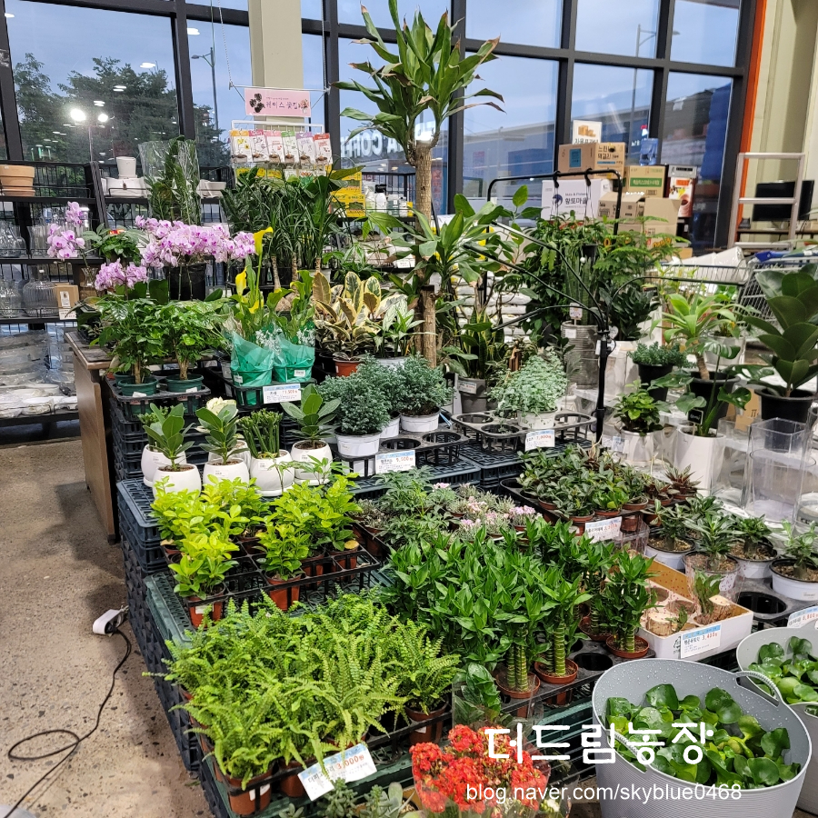 달성식자재마트 이미지