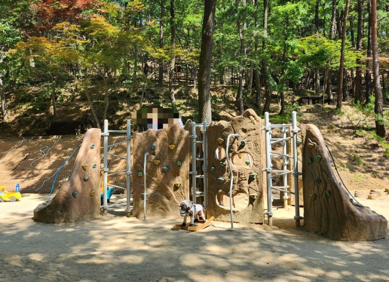 천생산성 유아숲체험원 이미지