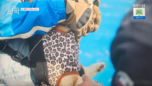 무주패러글라이딩F1 이미지