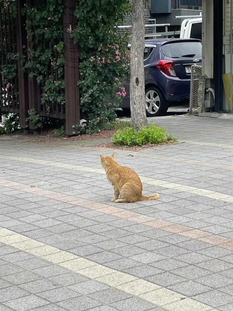 바나프레소 신촌로터리점 이미지
