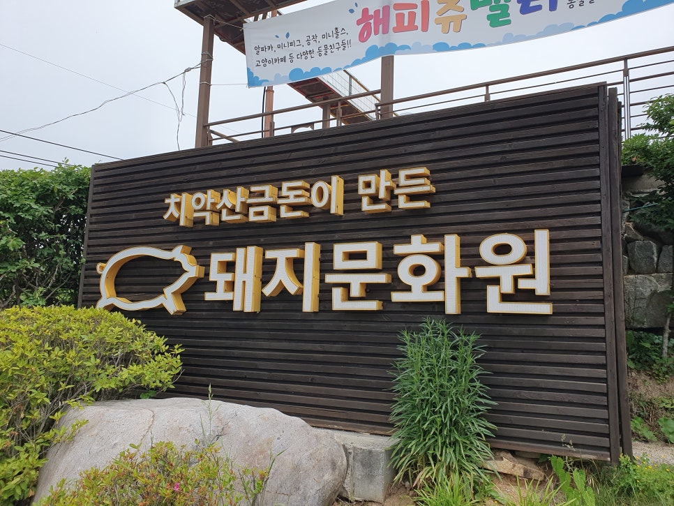 다복복권 이미지