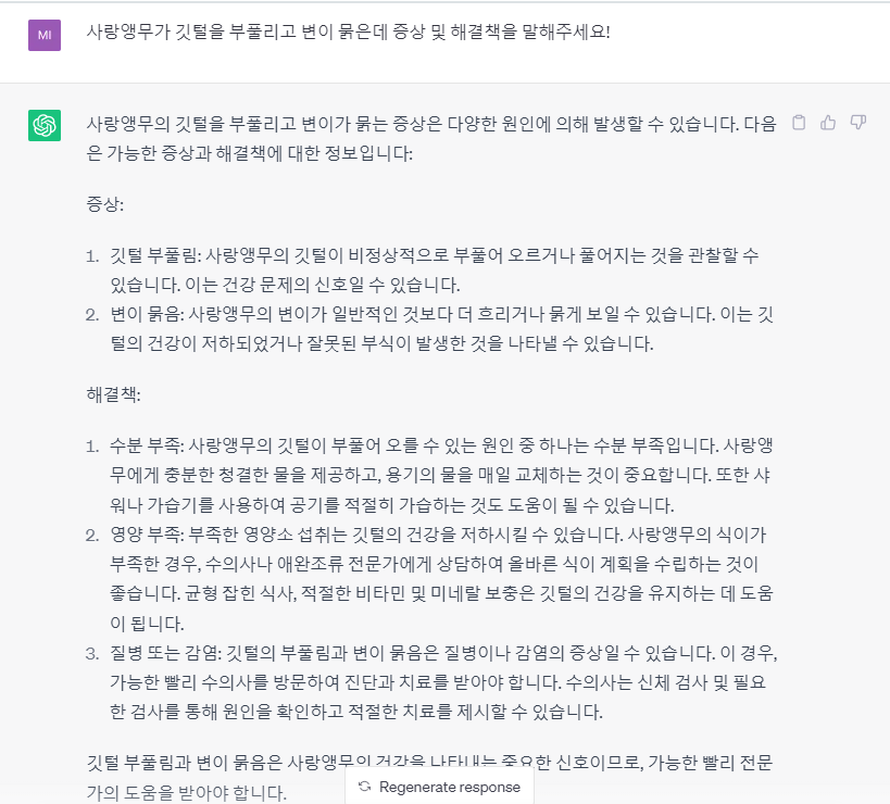 비굳커피 이미지