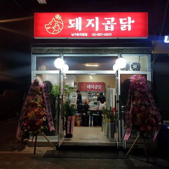 돼지곱닭 이미지