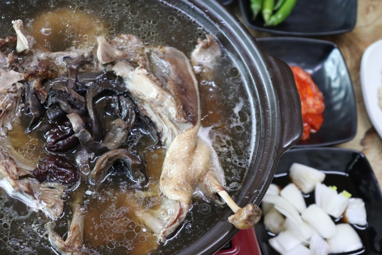 청산오리 이미지