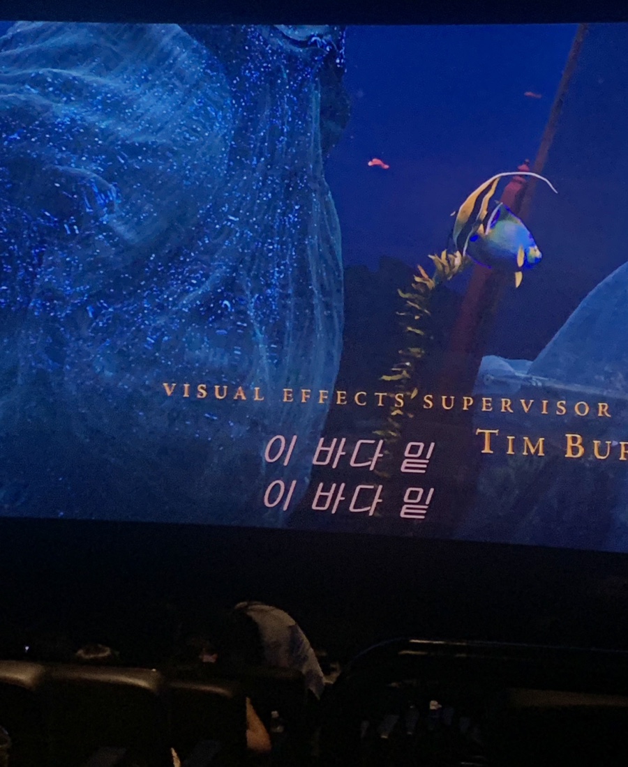 시네마노래짱 이미지