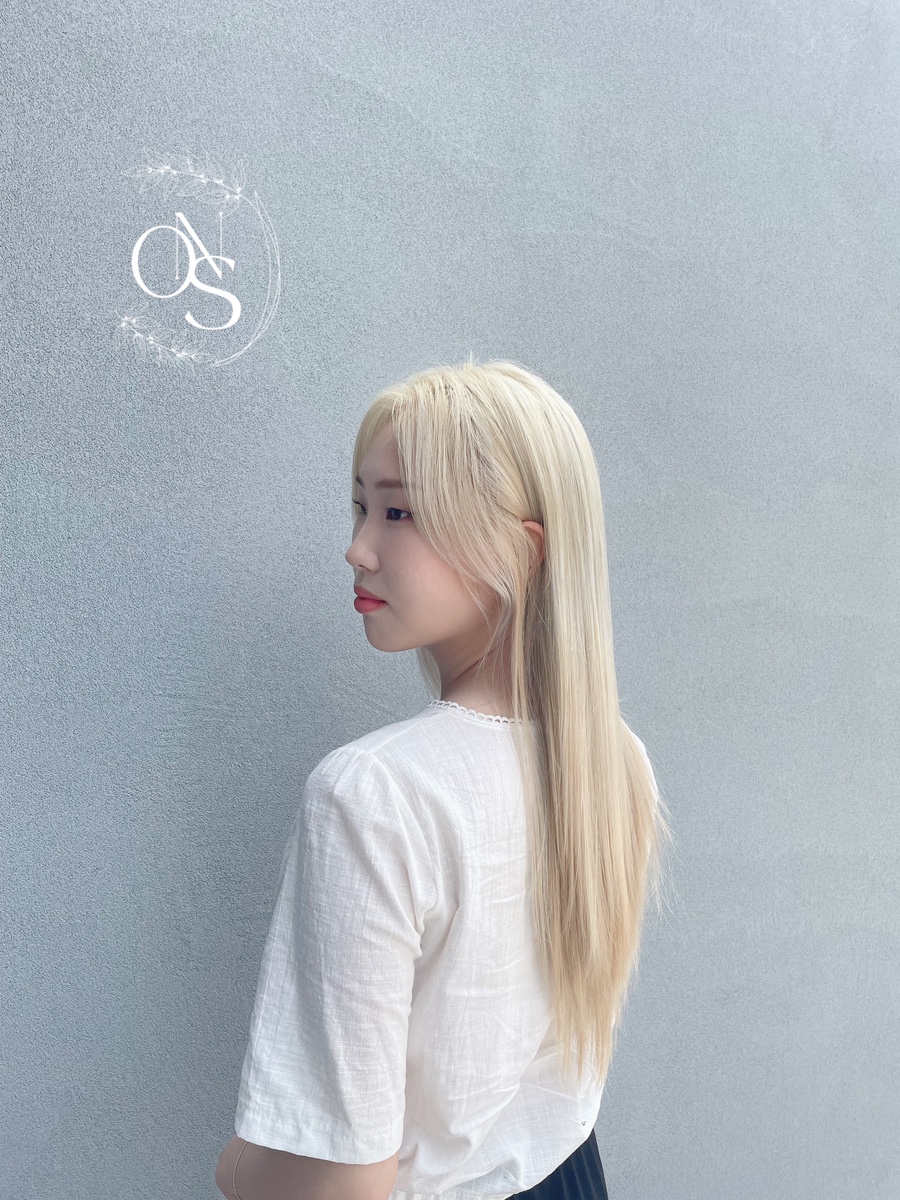 온숲 이미지
