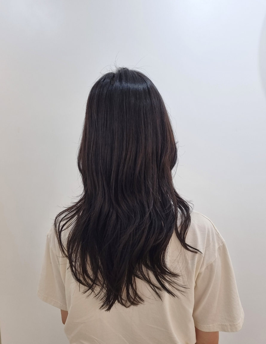 파니샵 이미지