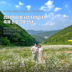 하이데이지 이미지