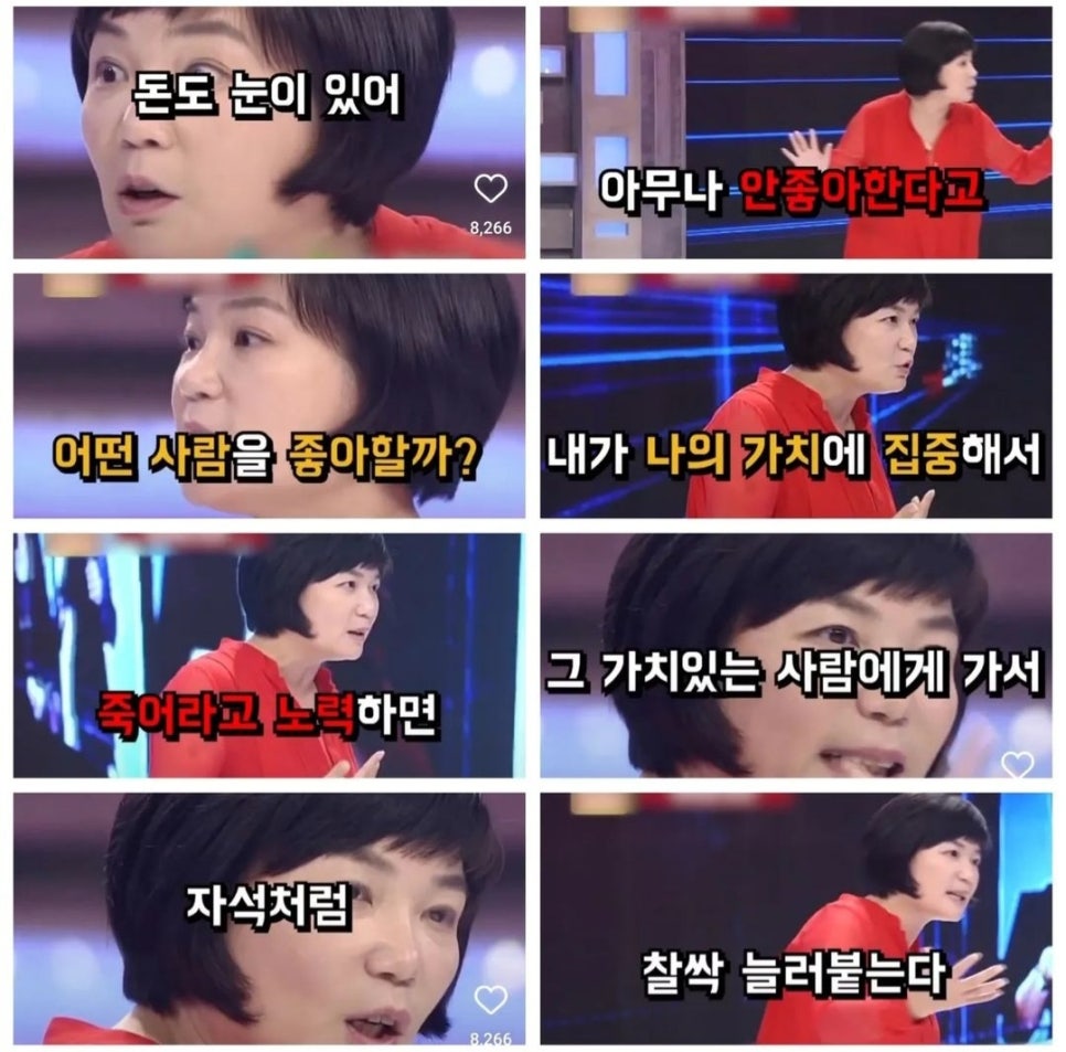 모모아트 이미지