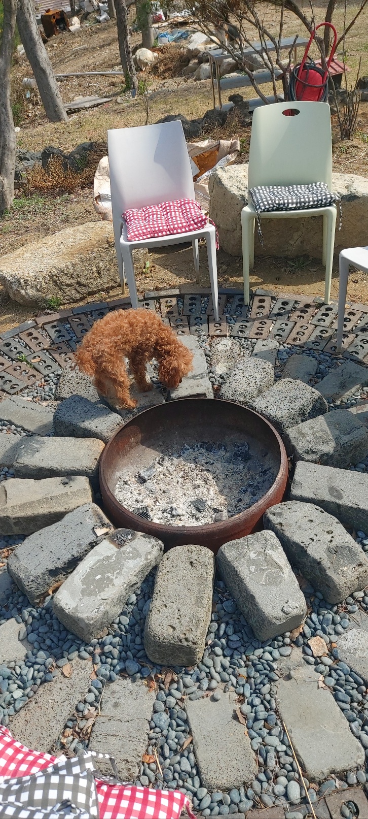 용담리70번지 이미지