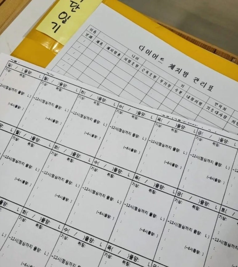 슬림핏점핑다이어트 이미지