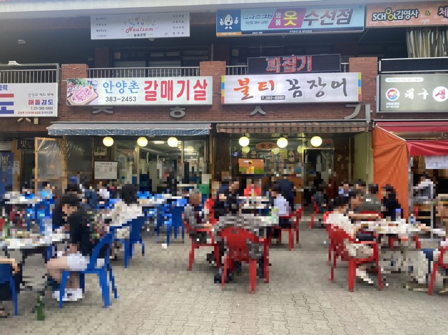 불티꼼장어 이미지